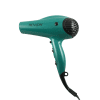 SECADOR DE CABELLO IONICO 1875W, VERDE, REVLON